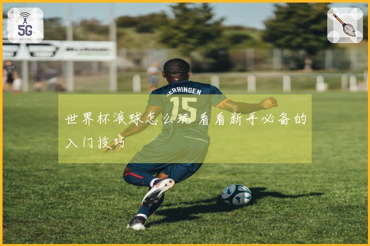 世界杯滚球怎么玩 看看新手必备的入门技巧