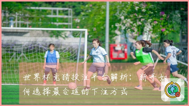 世界杯竞猜投注平台解析：新手如何选择最合适的下注方式