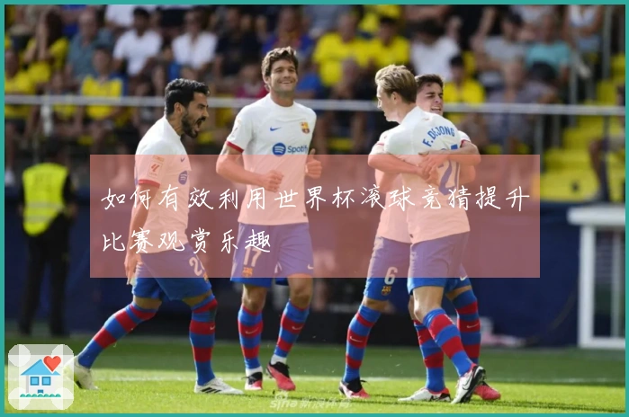 如何有效利用世界杯滚球竞猜提升比赛观赏乐趣