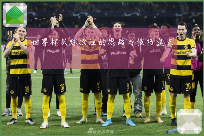 世界杯买球投注的思路与技巧盘点