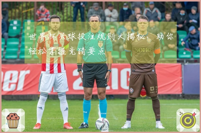 世界杯买球投注规则大揭秘，助你轻松掌握竞猜要点