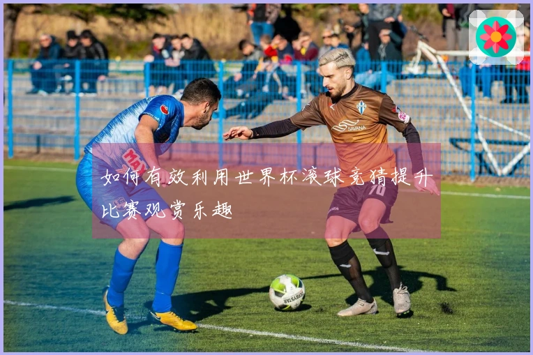 如何有效利用世界杯滚球竞猜提升比赛观赏乐趣