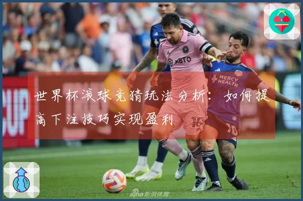 世界杯滚球竞猜玩法分析：如何提高下注技巧实现盈利