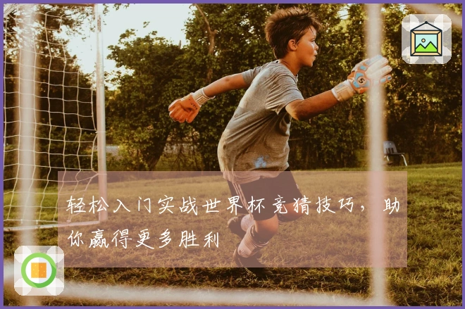 轻松入门实战世界杯竞猜技巧，助你赢得更多胜利
