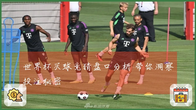 世界杯买球竞猜盘口分析 带你洞察投注秘密